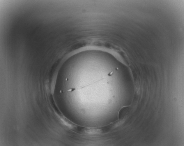 X0000083040670200702091410