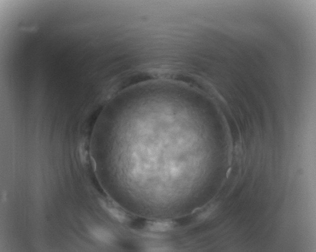 X0000083040671200702091410