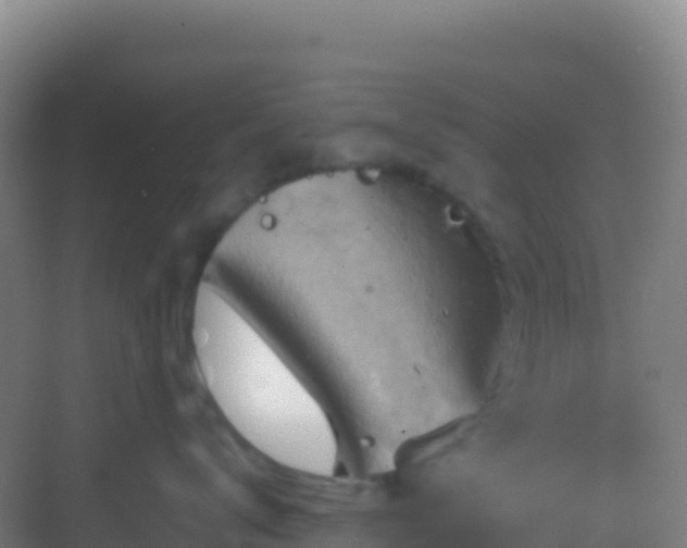 X0000083040672200702091410