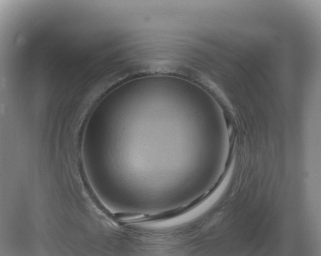 X0000083040673200702091410