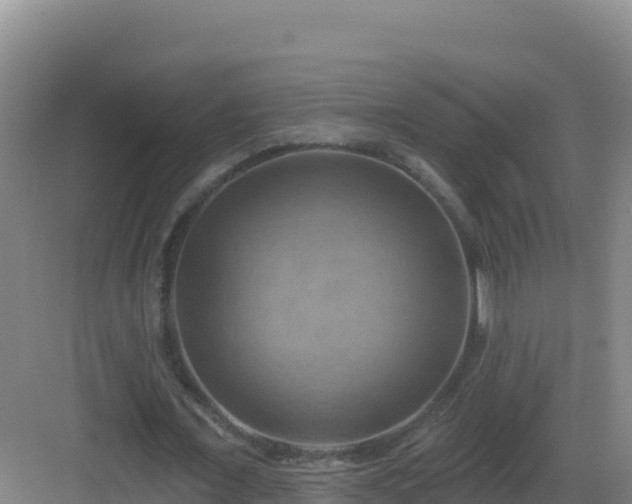 X0000083040675200702091409