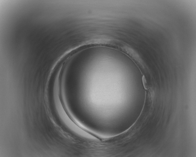 X0000083040676200702091409