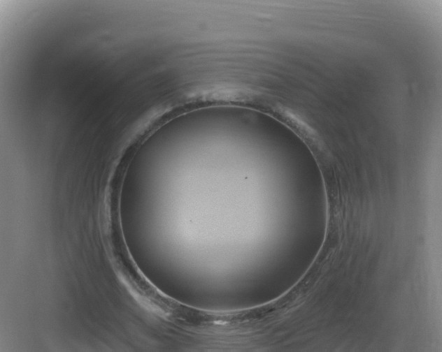 X0000083040678200702091409