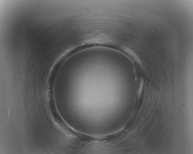 X0000083040680200702091409