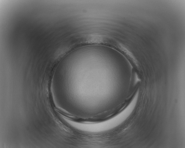 X0000083040681200702091409