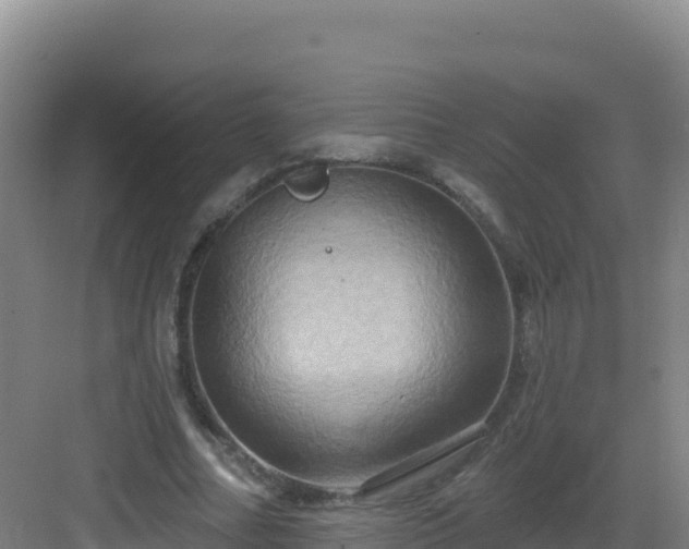 X0000083040682200702091409