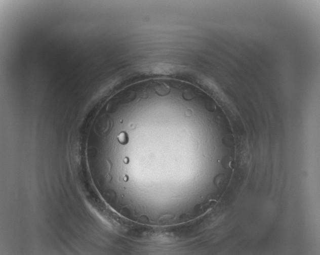 X0000083040683200702091409