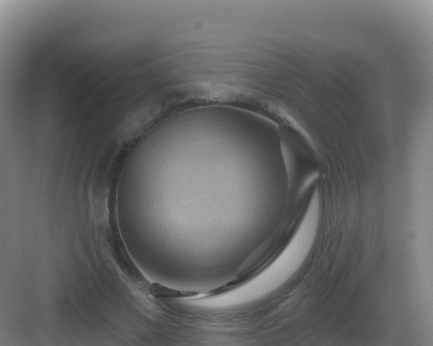 X0000083040685200702091409