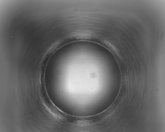 X0000083040686200702091409