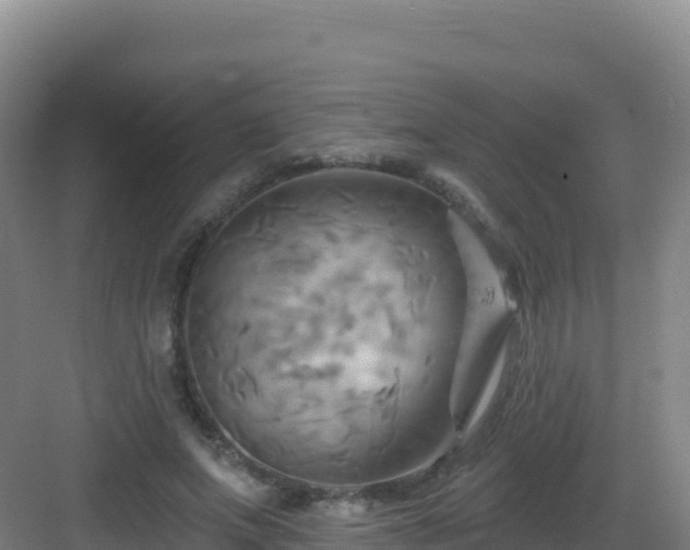 X0000083040687200702091409