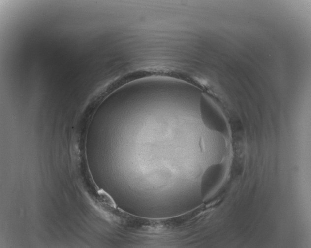 X0000083040688200702091409