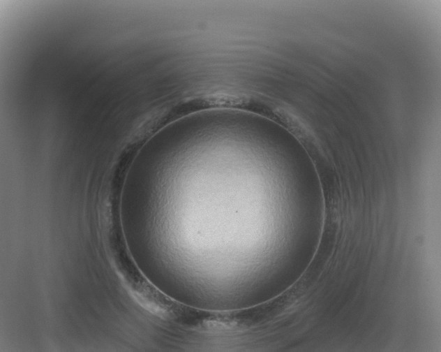 X0000083040690200702091409