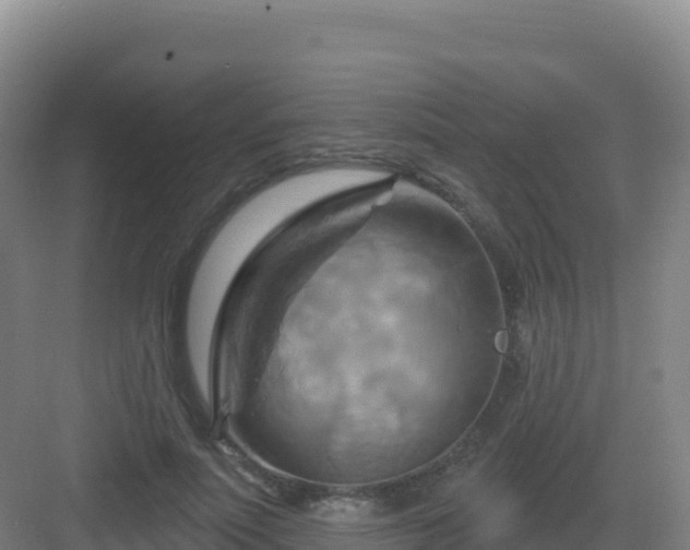 X0000083040691200702091409