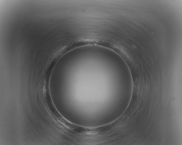 X0000083040692200702091409