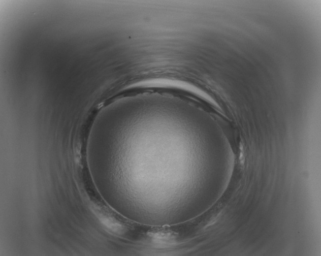 X0000083040693200702091409