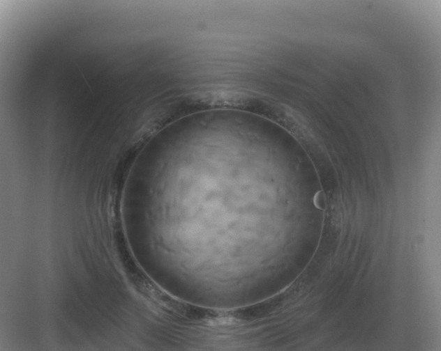 X0000083040695200702091409