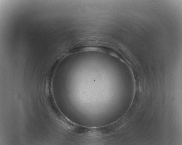 X0000083040696200702091409