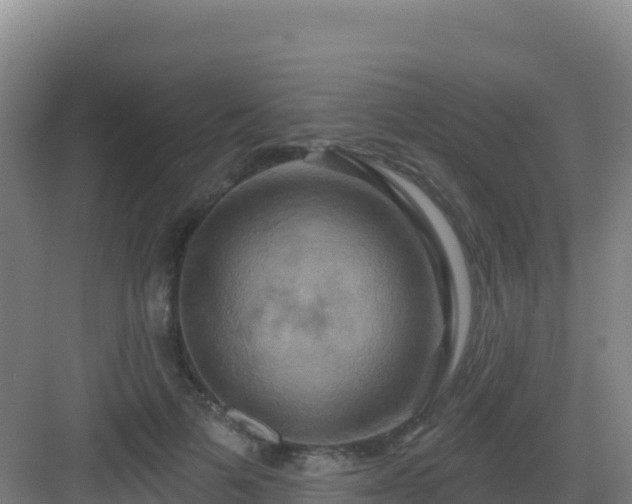 X0000083040697200702091409