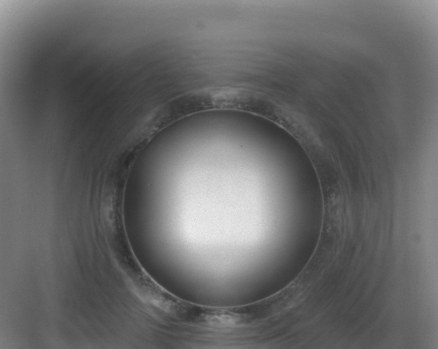 X0000083040698200702091409