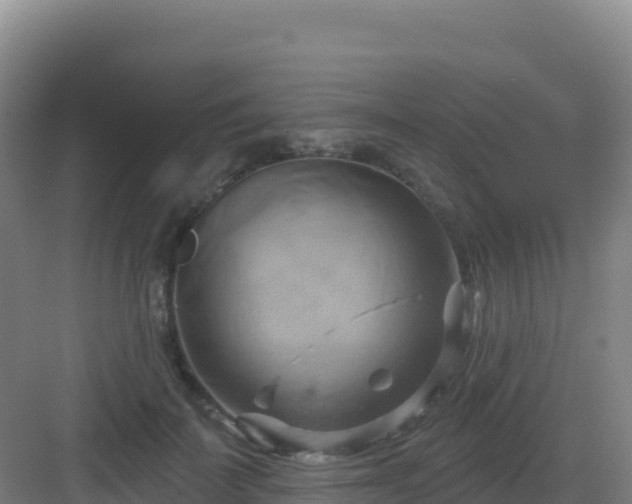 X0000083040699200702091409