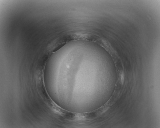 X0000083040701200702091409