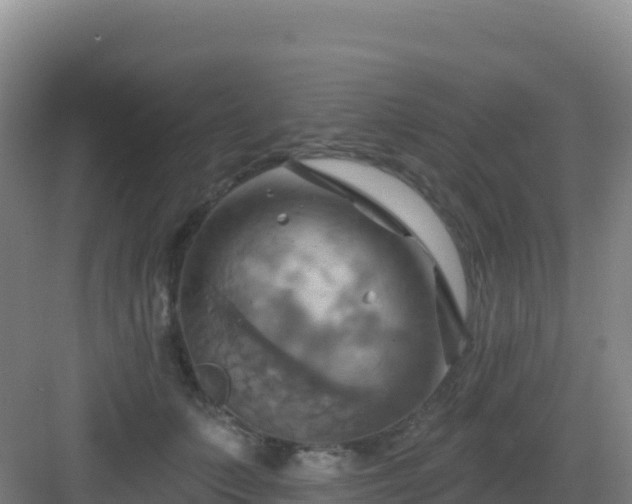 X0000083040703200702091409