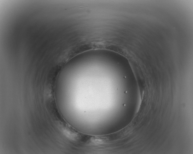 X0000083040706200702091409