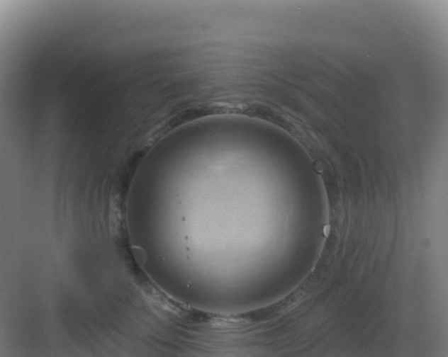 X0000083040707200702091409