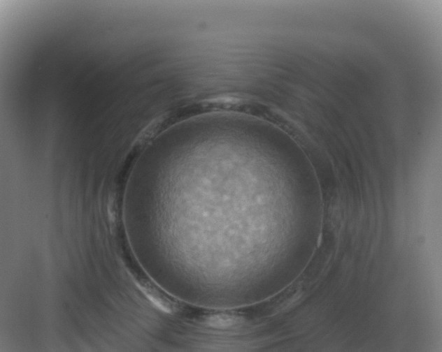 X0000083040708200702091409