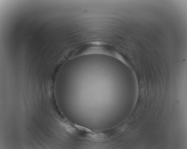 X0000083040712200702091409