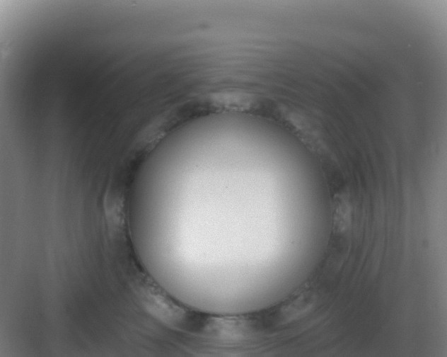 X0000083040713200702091409