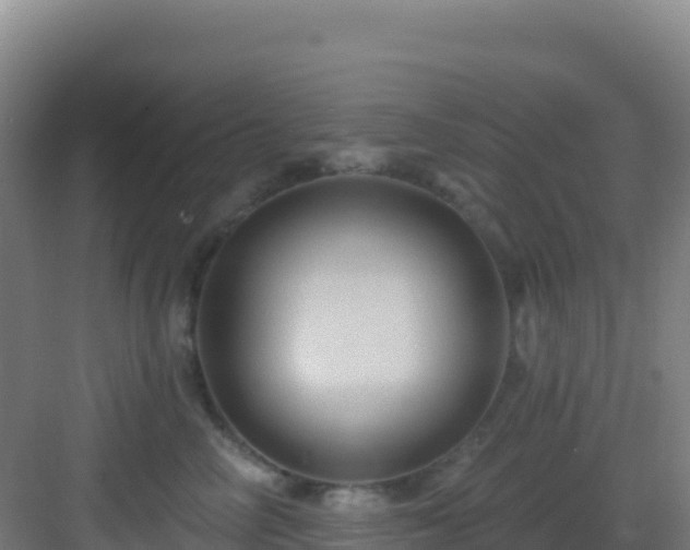 X0000083040714200702091409