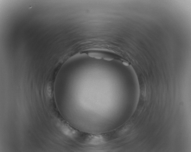 X0000083040715200702091409