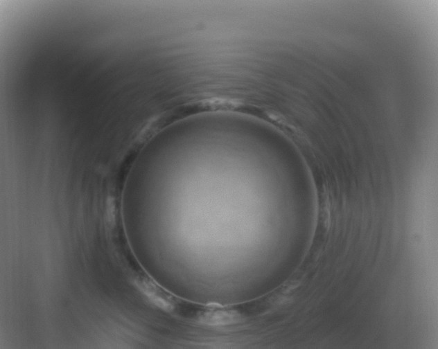 X0000083040716200702091409