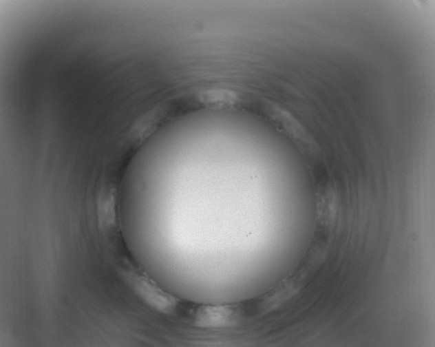 X0000083040717200702091409