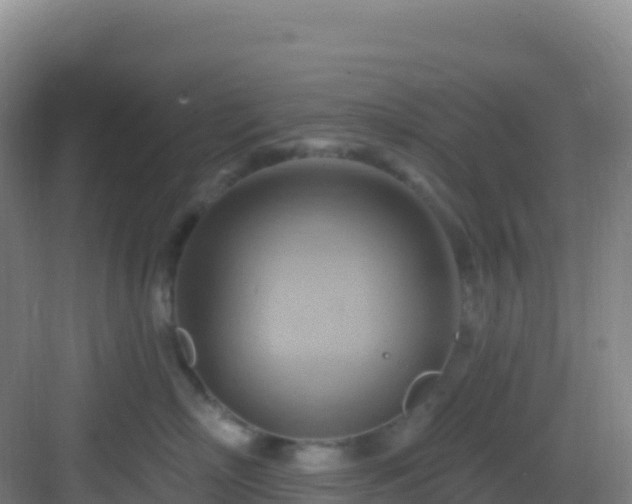 X0000083040718200702091409