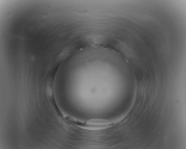 X0000083040719200702091409