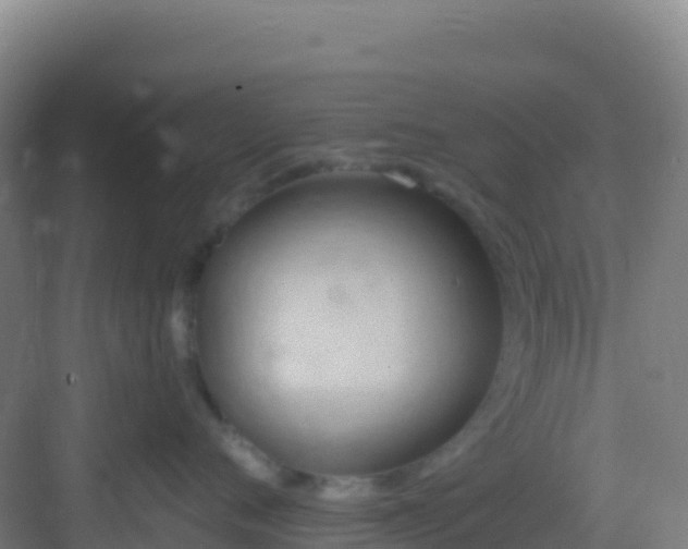 X0000083040720200702091409