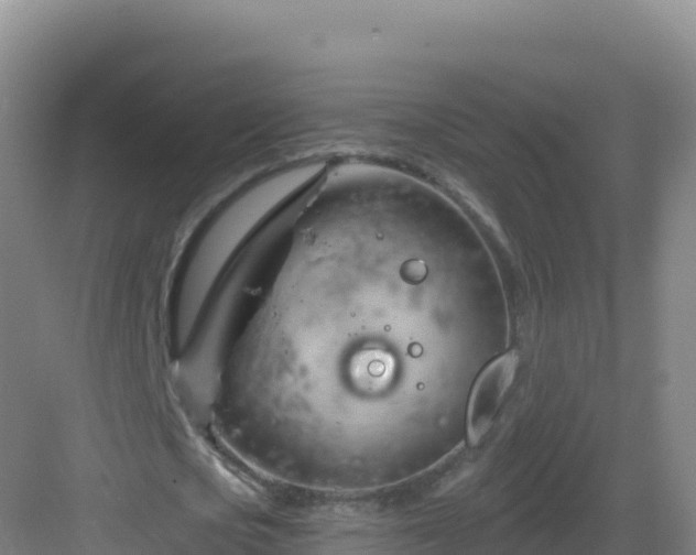 X0000083040721200702091408