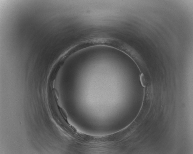 X0000083040722200702091408