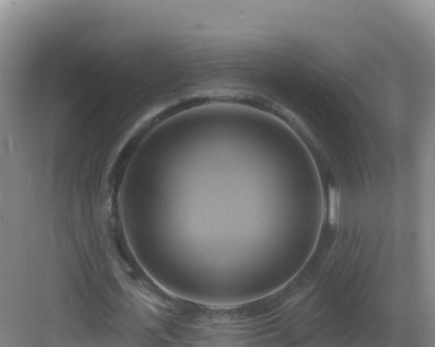 X0000083040723200702091408