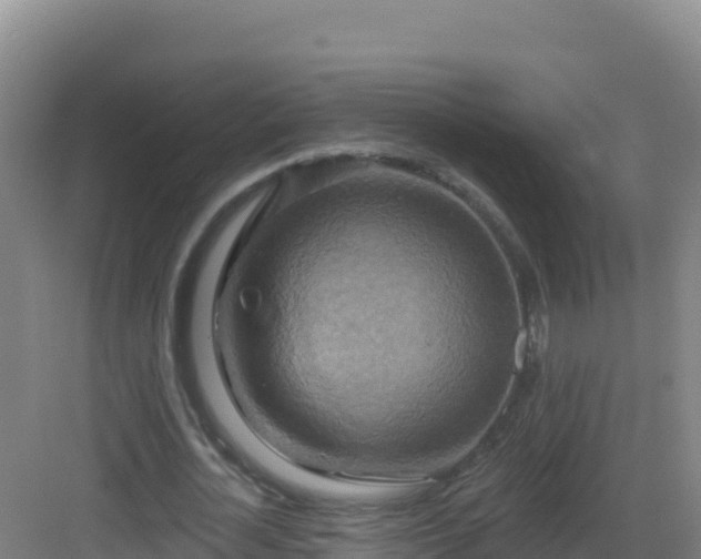 X0000083040724200702091408