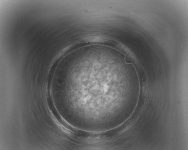 X0000083040725200702091408