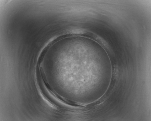 X0000083040726200702091408