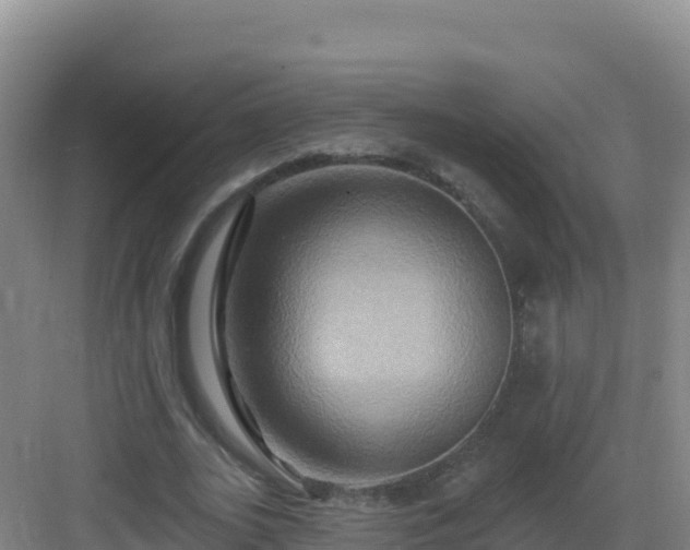 X0000083040727200702091408