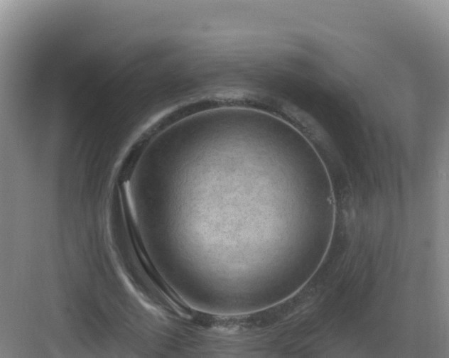 X0000083040728200702091408