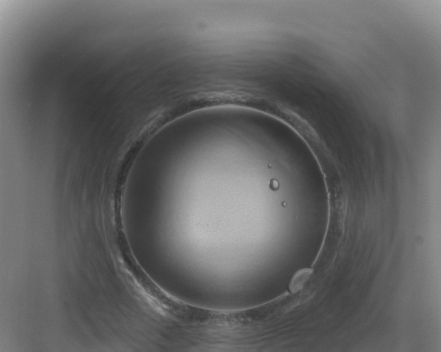 X0000083040729200702091408