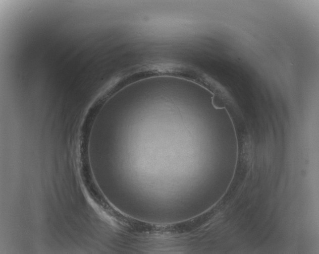 X0000083040730200702091408