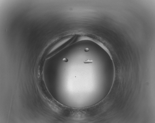 X0000083040731200702091408