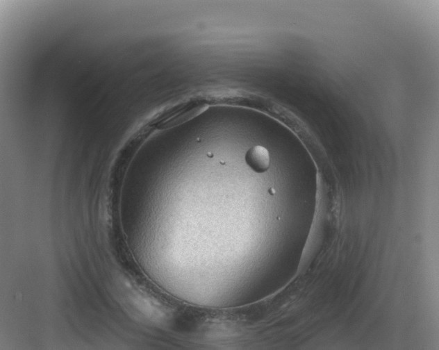 X0000083040732200702091408